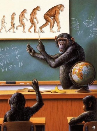evolution-singe.jpg, 48 kB